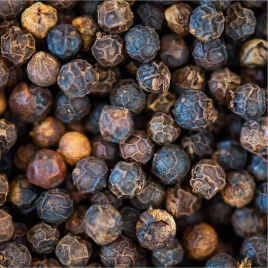 Einjähriger Beifuß