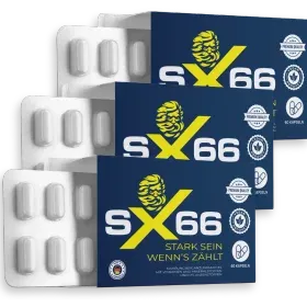 Pack 3 SX66