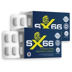 SX66 Review